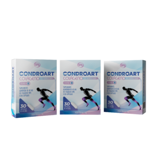 Condroart